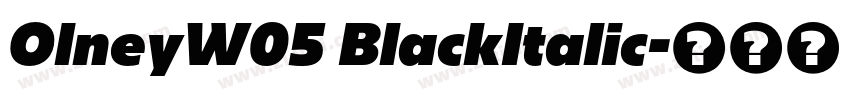 OlneyW05 BlackItalic字体转换
